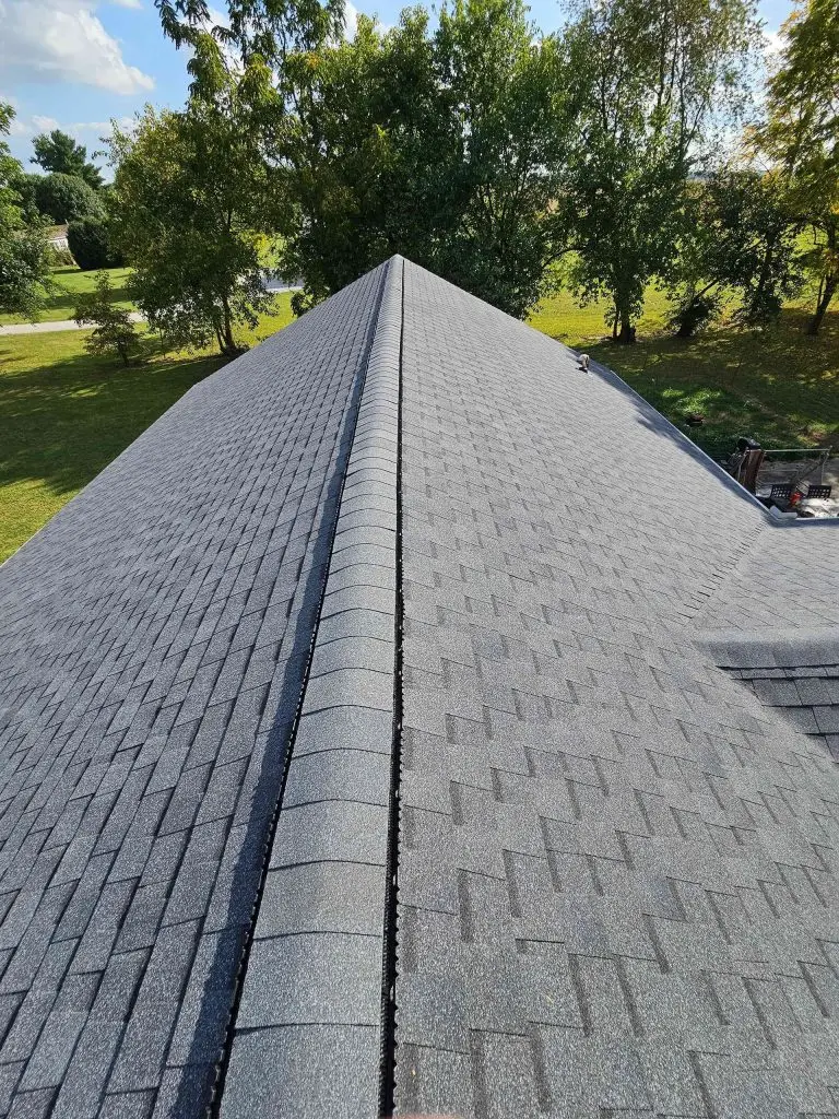 View from above of a dark gray shingle roof peak with trees in the background under a blue sky.